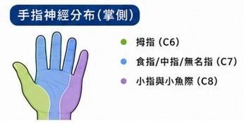 【黃于軒醫師聊聊天】從臉麻、頭麻到雙手麻:看似不同的位置,可能都要從「神經卡壓」重新找原因 【黃于軒醫師聊聊天】從臉麻、頭麻到雙手麻:看似不同的位置,可能都要從「神經卡壓」重新找原因